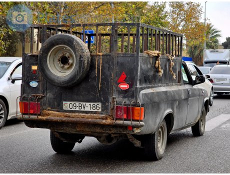 09 BV 186, GAZ 31029 Волга