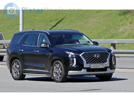 е020мм702, Hyundai Palisade