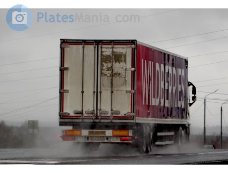 ен 5193 50, Wielton NS