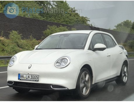 HN LN 3005, Ora (Oula) 03/ Haomao/ Good(Funky) cat