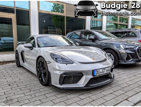 DU GT 444, Porsche Cayman