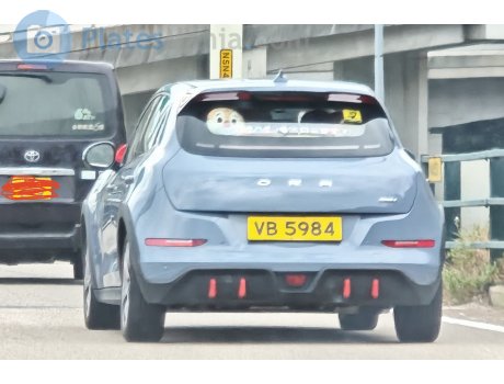 VB 5984, Ora (Oula) 03/ Haomao/ Good(Funky) cat