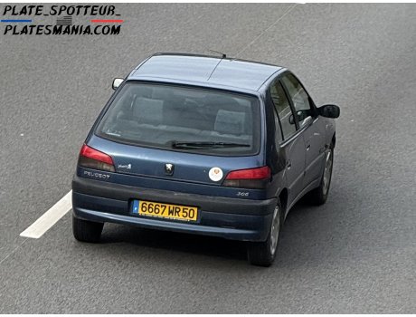 6667 WR 50, Peugeot 306