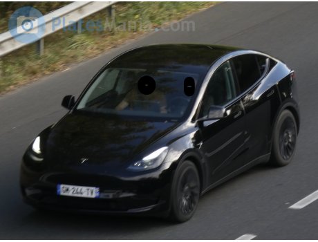 GM-244-TV, Tesla Model Y