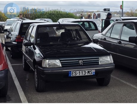 ES-113-MS, Peugeot 205
