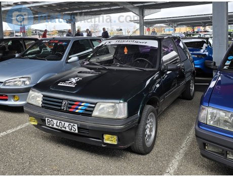 BQ-404-QS, Peugeot 205