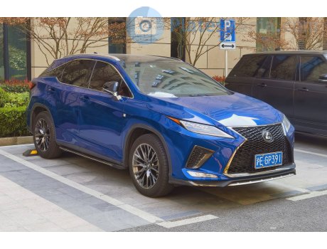 沪E·GP391, Lexus RX