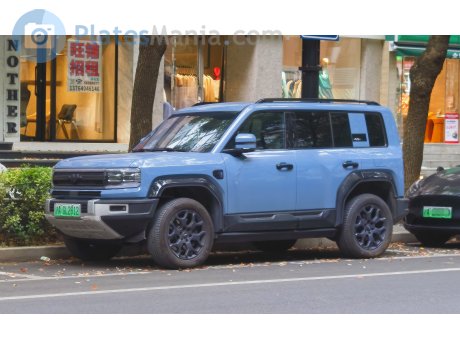 沪A·GL2812, Fangchengbao Leopard (Bao) 5