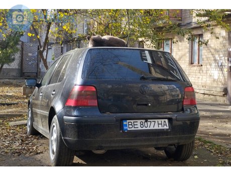 BE 8077 HA, Volkswagen Golf