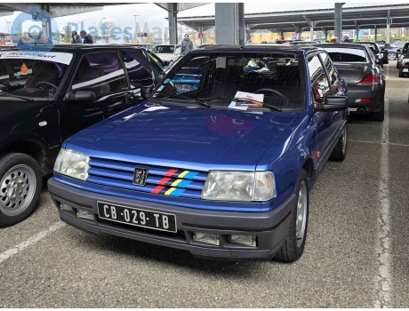 CB-029-TB, Peugeot 309