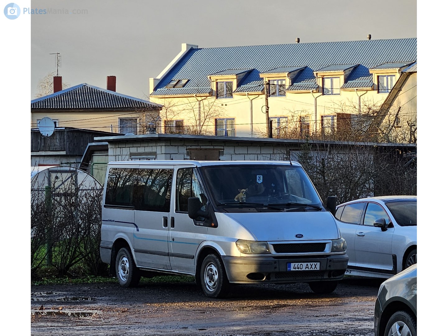 440 AXX, Ford Transit 3rd gen Van (V184/V185), 2000–2006