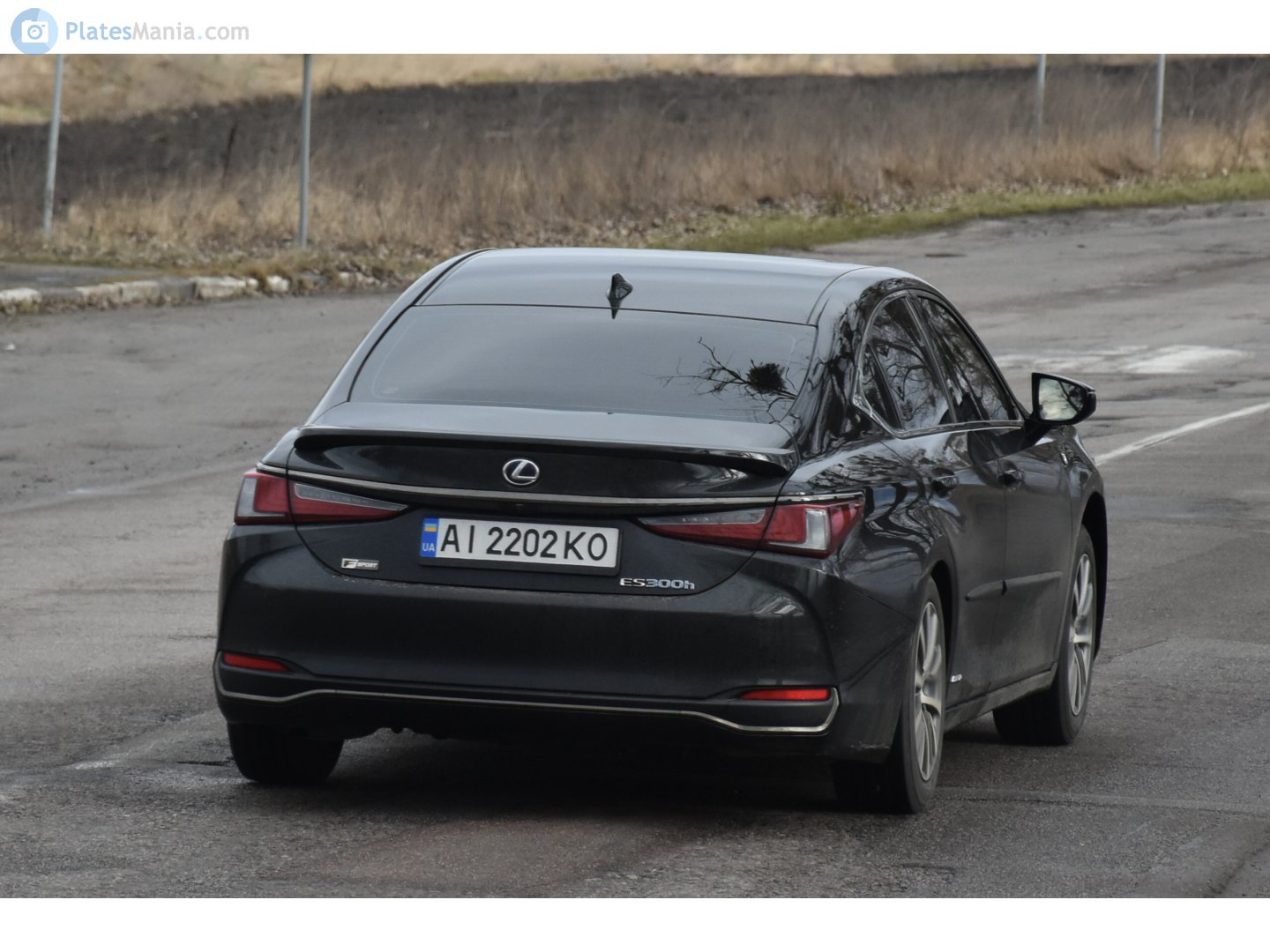 AI 2202 KO, Lexus ES 7th gen (XZ10), 2018–