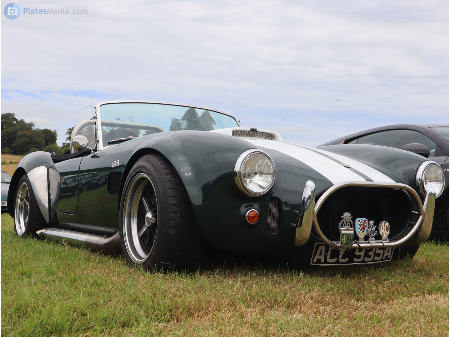 ACC935A, AC Cobra 