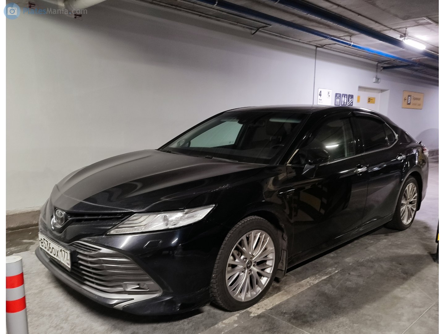 в 536 ох 177, Toyota Camry 8th gen (XV70), 2017–