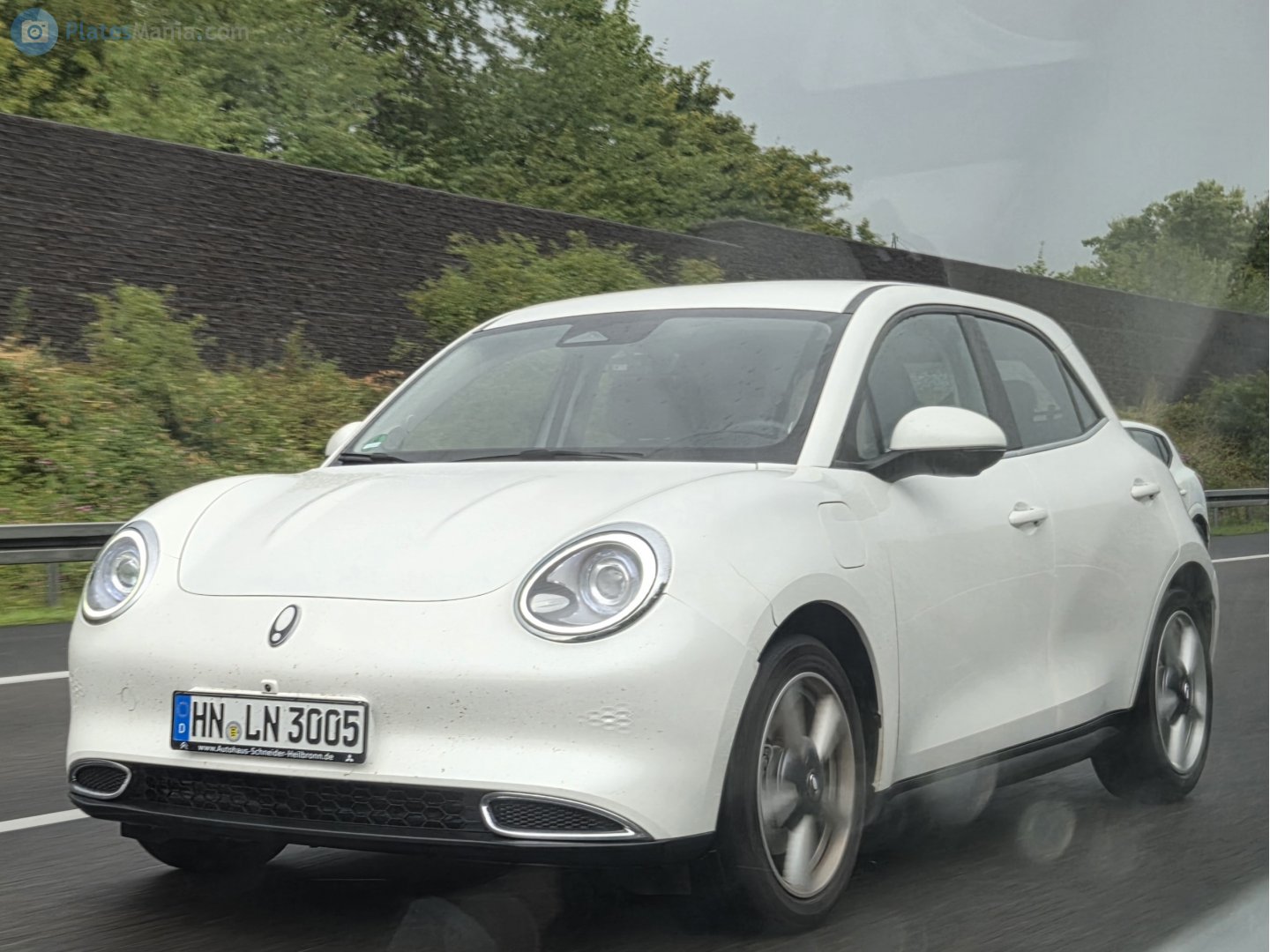 HN LN 3005, Ora (Oula) 03/ Haomao/ Good(Funky) cat 1st gen (ES11), 2020–