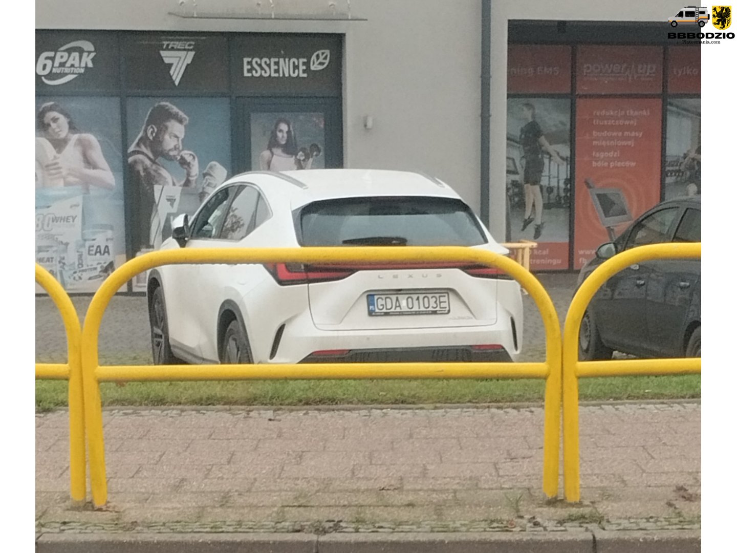 GDA 0103E, Lexus NX 2nd gen (AZ20), 2021–