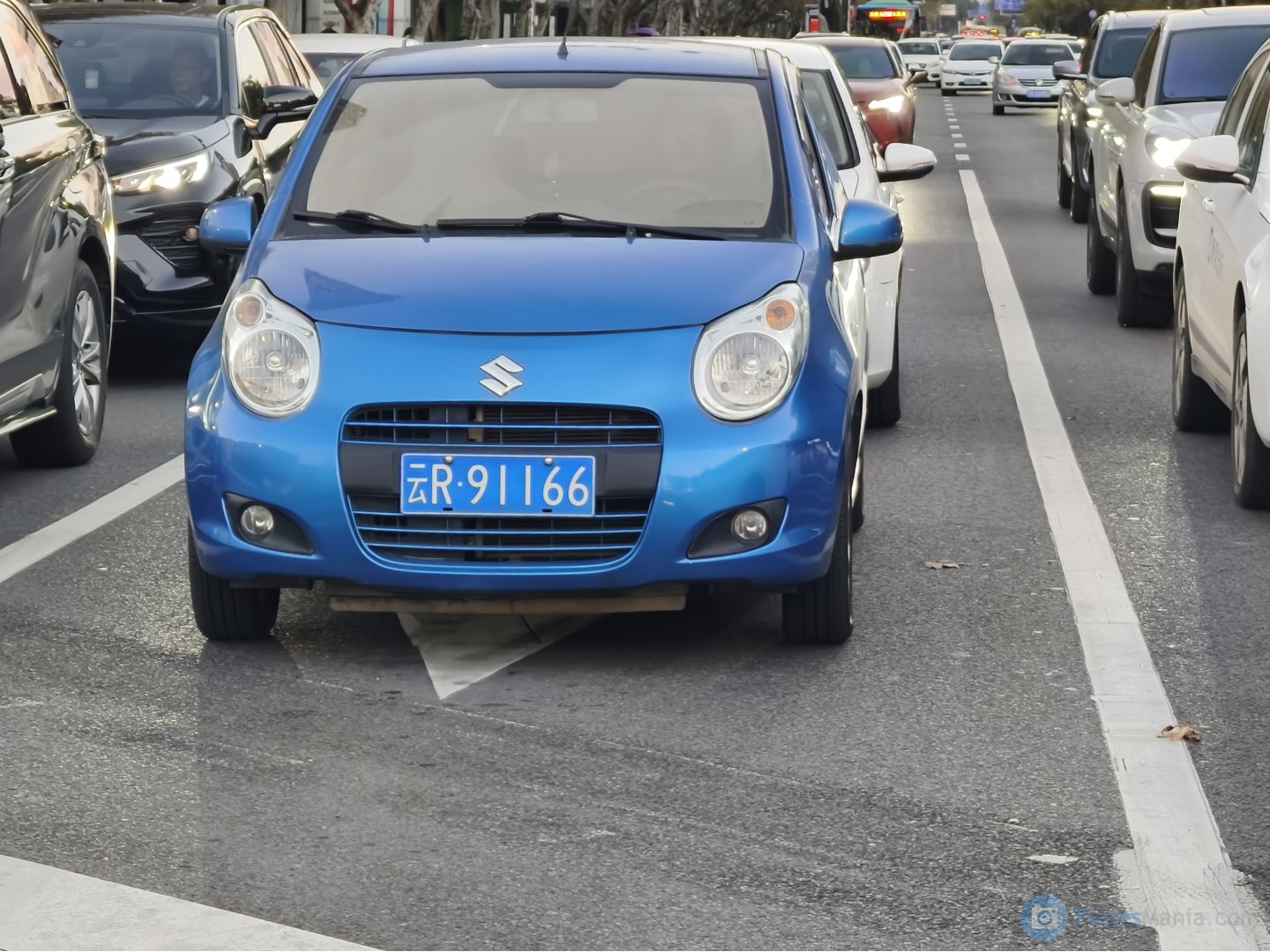 云R·91166, Suzuki Alto 7th gen (GF; EU-market), 2008–2014