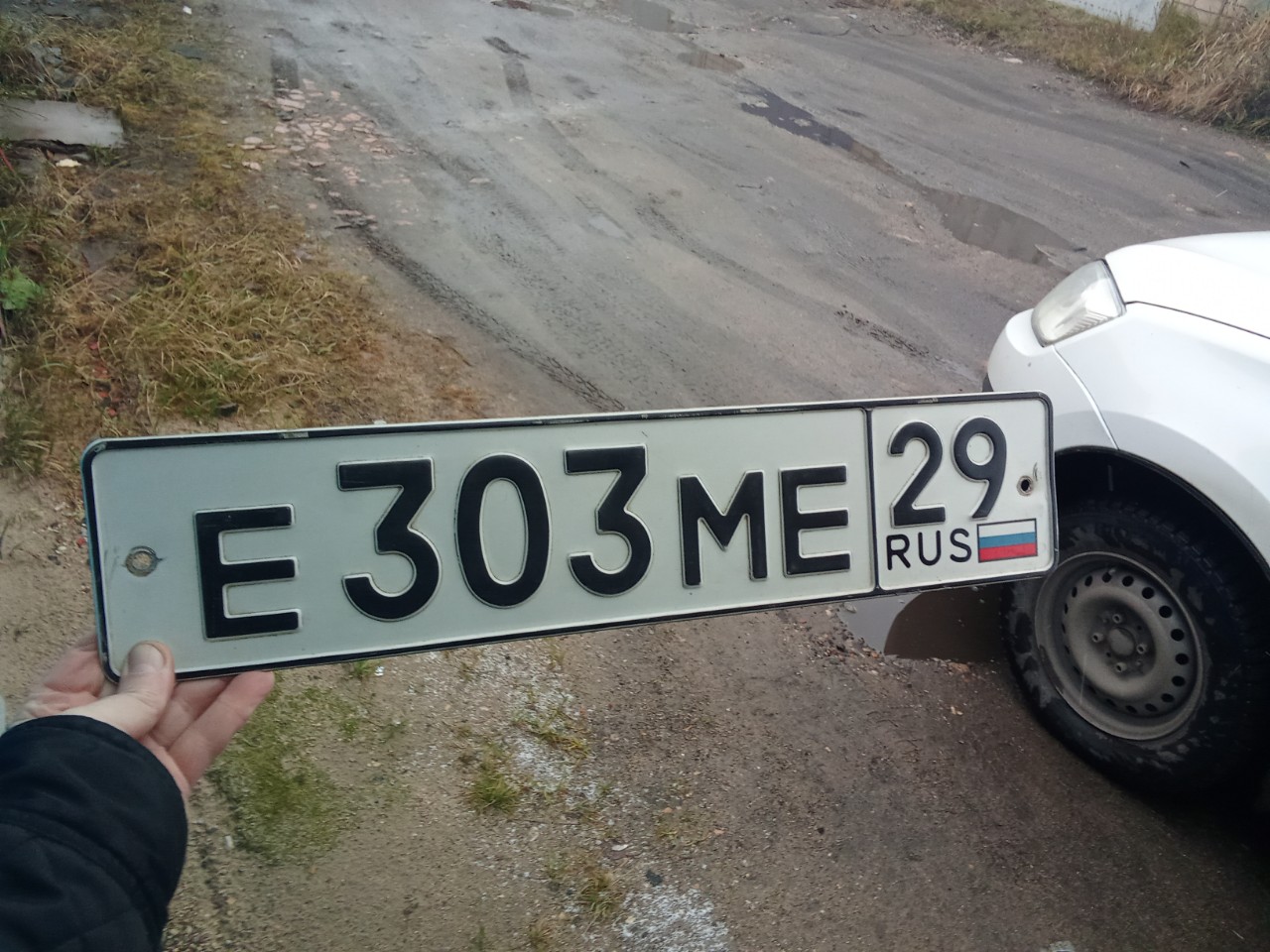 е 303 ме 29, License plate without vehicle 