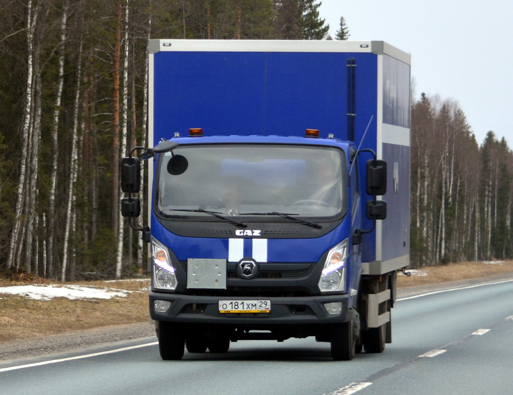 о 181 хм 29, GAZ Валдай Next Valdai Next (C49, C4A), 2020–