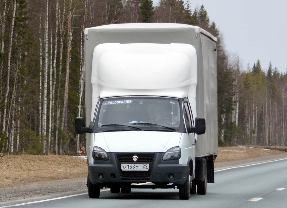 о 153 ут 29, GAZ 3302 ГАЗель 2-3302 Single Cab, facelift, 2003–