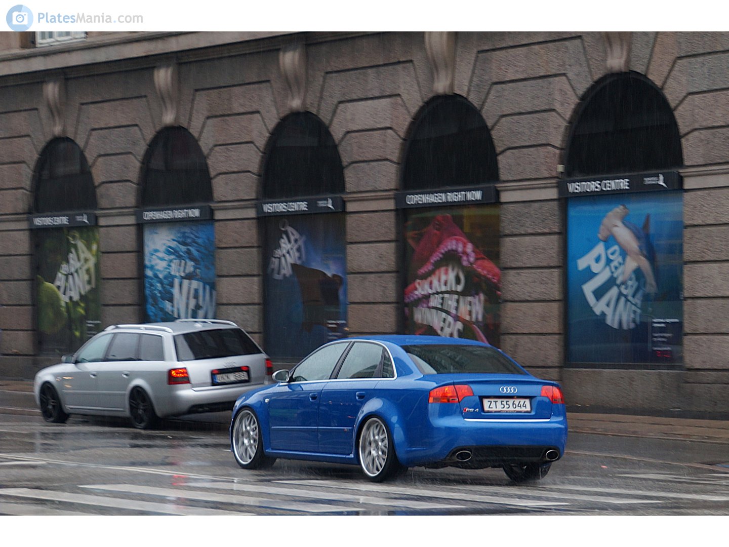 ZT 55644, Audi RS4 2nd gen Sedan (B7/8EC), 2005–2007