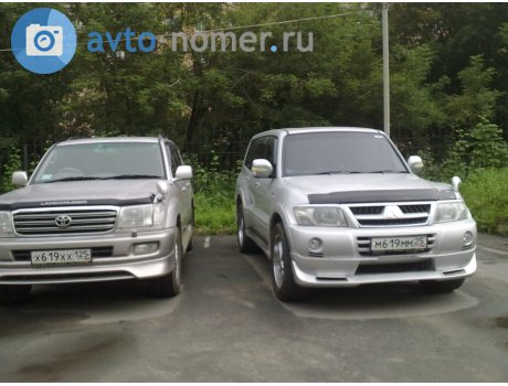 х619хх125, Toyota Land Cruiser