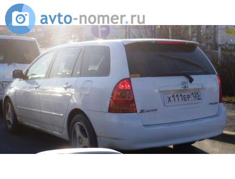 х111ер125, Toyota Corolla Fielder