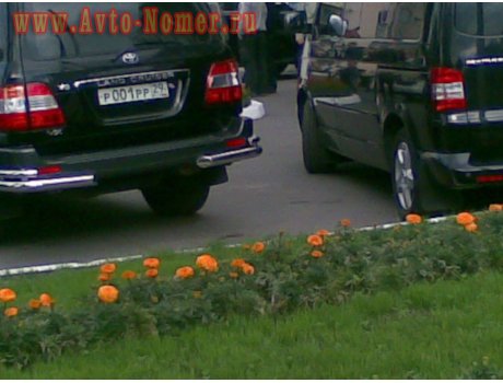 р001рр29, Toyota Land Cruiser