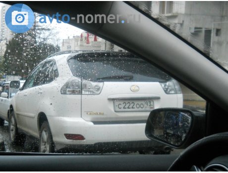 с222оо93, Lexus RX