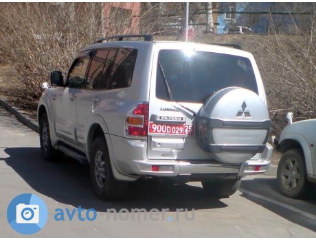 900D 029 25, Mitsubishi Pajero