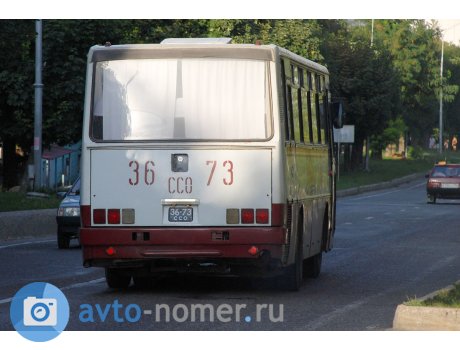 3673 ССО, Ikarus 256