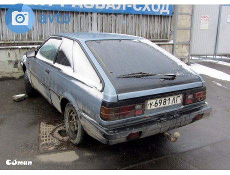 у 6981 ЛГ, Datsun Sunny